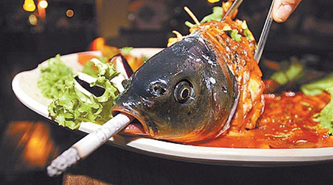 Chuyên gia về bệnh truyền nhiễm cũng cho rằng, thưởng thức cá âm dương làm tăng nguy cơ mắc bệnh. Nguyên nhân bởi cá nước ngọt thường chứa nhiều vi khuẩn tả, sán lá gan, vi rút gây bệnh...