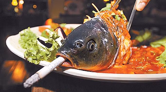 Chuyên gia về bệnh truyền nhiễm cũng cho rằng, thưởng thức cá âm dương làm tăng nguy cơ mắc bệnh. Nguyên nhân bởi cá nước ngọt thường chứa nhiều vi khuẩn tả, sán lá gan, vi rút gây bệnh...