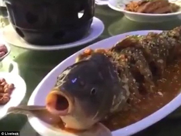 Cá âm dương bốc khói nghi ngút được dọn ngay ra đĩa, bày biện sống động như những chú cá đang bơi.