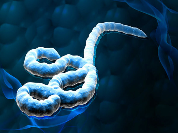 Tiêu chảy. Tiêu chảy chủ yếu do vi khuẩn Salmonella hoặc Campylobacter hiện diện ở các nhà vệ sinh gây nên. Chính vì vậy, bước vào những nơi điều kiện vệ sinh kém mà không biết phòng bệnh có thể khiến đối diện với tình trạng “tào tháo đuổi”.