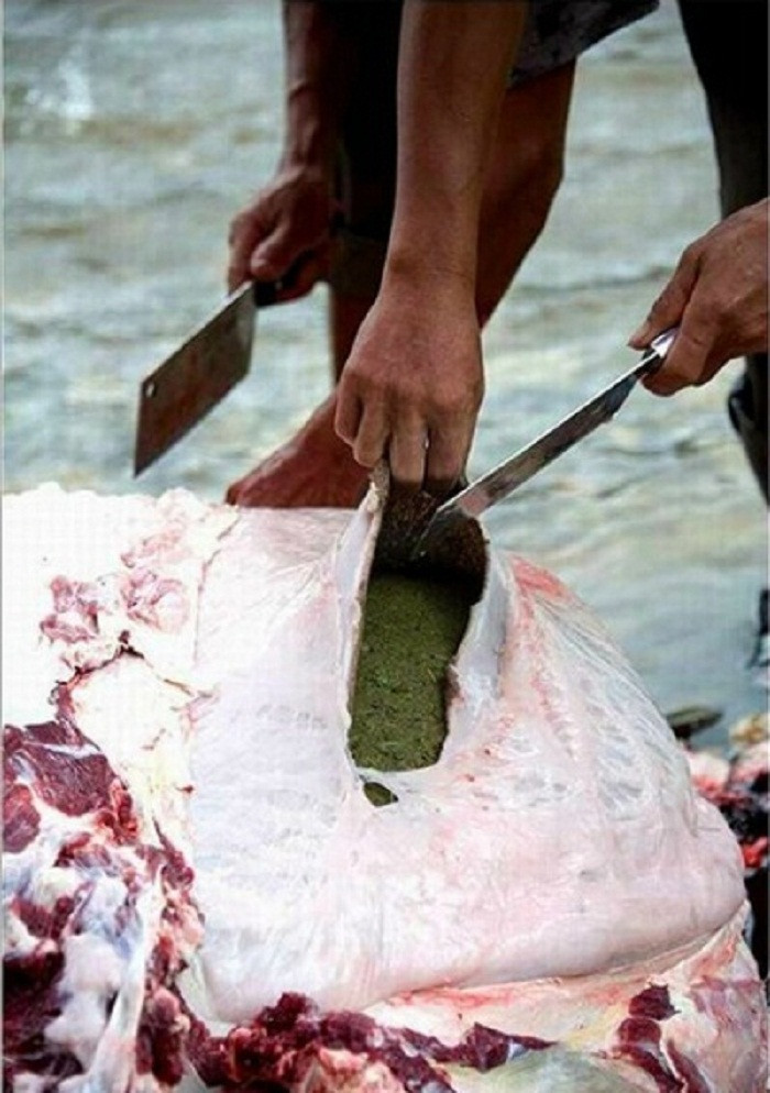 Thực chất, đặc sản lẩu phân bò được làm từ phần thức ăn chưa được tiêu hóa hết trong dạ dày và ruột. Từ đó, những đầu bếp với bề dày kinh nghiệm sẽ vắt lấy chất lỏng sền sệt. Thường chất dịch từ ruột non sẽ đắng hơn so với từ dạ dày.