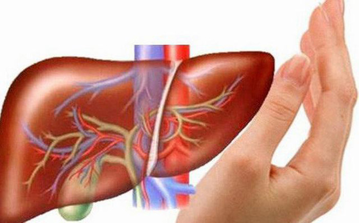 Mắc các bệnh về gan ảnh hưởng nghiêm trọng đến sức khỏe song nếu lắng nghe cơ thể, bạn sẽ nhận diện được dấu hiệu bệnh gan để điều trị kịp thời.