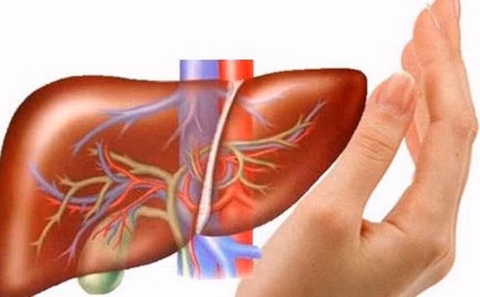 Mắc các bệnh về gan ảnh hưởng nghiêm trọng đến sức khỏe song nếu lắng nghe cơ thể, bạn sẽ nhận diện được dấu hiệu bệnh gan để điều trị kịp thời.