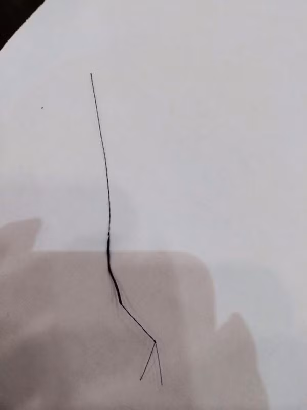 Một cọng tóc vê được bán với giá 5 nghìn đồng. Ban đầu nhiều người cho rằng đây chỉ là một trò đùa, nhưng càng ngày những bài đăng rao bán tóc vê càng xuất hiện nhiều trên các fanpage mua bán, trao đổi với nhiều lời rao, quảng cáo rất hài hước