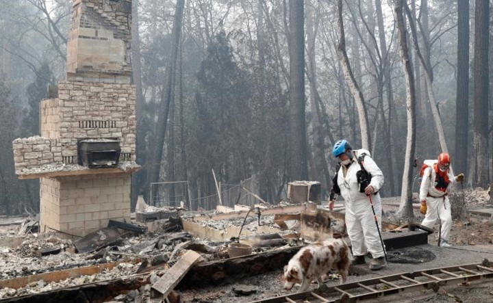 Moutard đặc biệt chú ý tới các phần thi thể khó bị cháy, như hộp sọ...