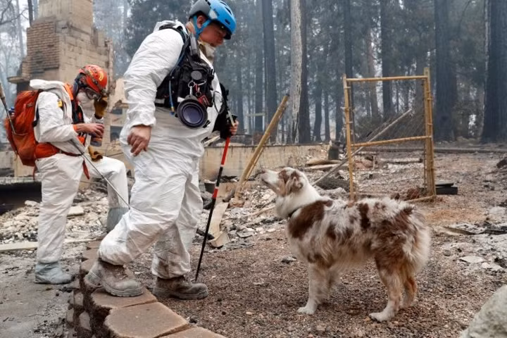 Nhóm của Moutard tìm kiếm các nạn nhân hỏa hoạn bên trong một ngôi nhà đã bị phá hủy.