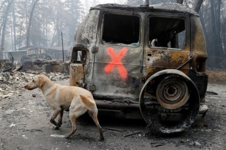 Lúc tìm kiếm như thế này, vợ chồng Atkinson phải dè chừng các mối nguy hiểm như đường dây điện thõng xuống, các hố sâu do cháy gốc cây, cành cây lủng lẳng...