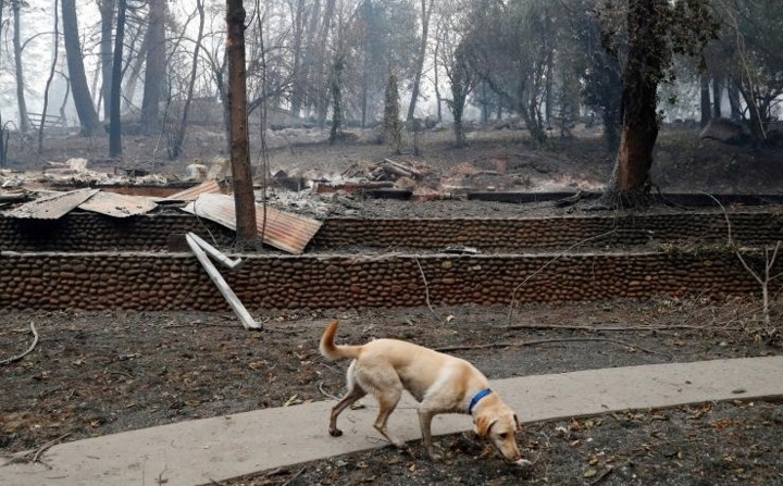 Được biết, sau hơn 1 tuần bùng phát, cháy rừng ở California vẫn chưa được khống chế hoàn toàn.