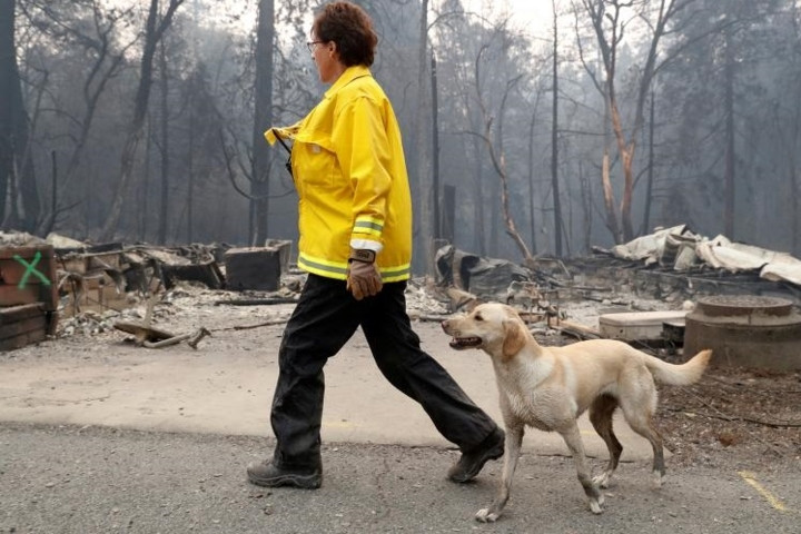 Đám cháy rừng bùng phát hôm 8/11, gây thiệt hại lớn nhất về người và tài sản trong lịch sử bang California. Hơn 50.000 dân đã phải sơ tán và gần 12.000 ngôi nhà ở bang này đã bị thiêu rụi.
