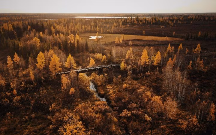 Tuyến đường lọt thỏm giữa rừng cây lá vàng mùa thu.