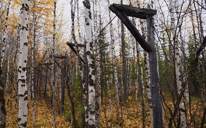 Để xây dựng tuyến đường sắt này, nhà lãnh đạo Liên Xô Stalin đã huy động tù nhân lao động công ích và họ ở trong những khu trại được bao quanh bằng hàng rào dây thép gai.
