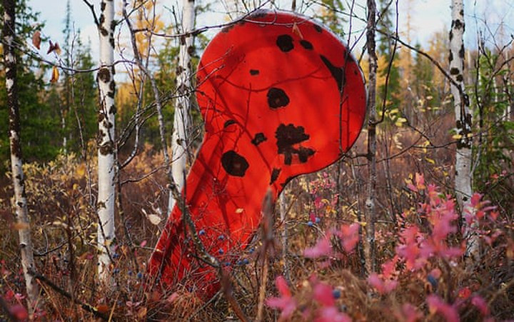 Những mảng hoen gỉ trên tấm biển hiệu cũ vẫn còn màu sơn đỏ tươi.