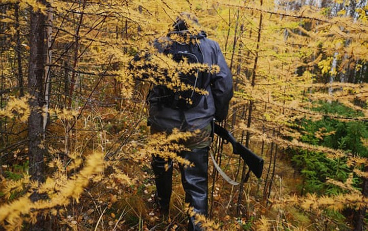 Một người thợ săn len lỏi tìm đường vào tuyến đường sắt cũ.