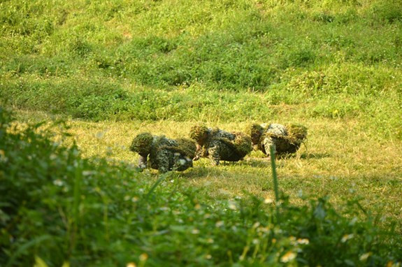 ...Kỹ thuật vận động bí mật.