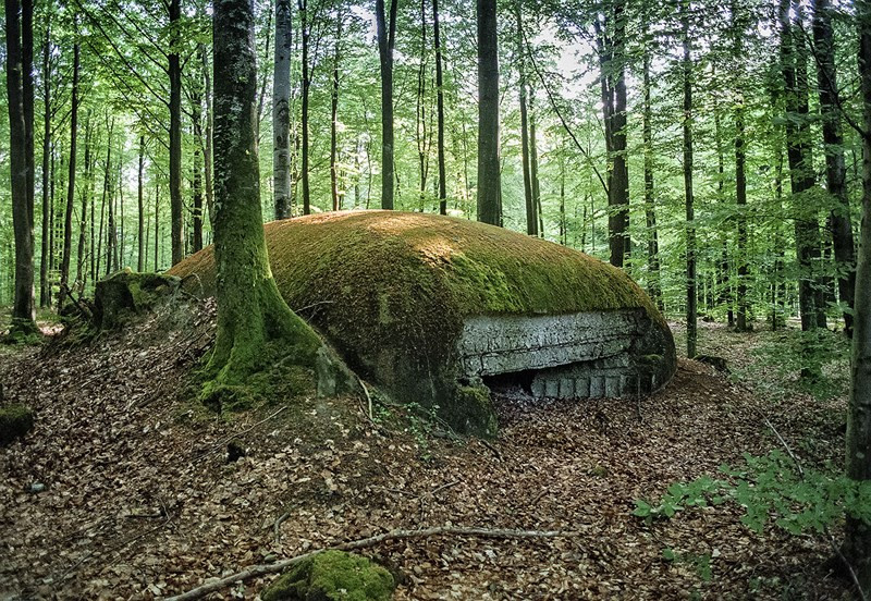 Một công sự của Đức nay đã bị dây leo bao phủ ở rừng Argonne, Pháp. Trận chiến rừng Argonne là một phần trong Chiến dịch Meuse-Argonne do tướng Ferdinand Foch của Đức lập nên. Tướng John Pershing dẫn đầu Lực lượng Viễn chinh Mỹ (AEF) và Quân đoàn số 4 của Pháp do tướng Henri Gouraud chỉ huy cũng tham gia vào cuộc chiến này để đối đầu với Đức. Thiệt hại về người của Mỹ trong trận này là 117.000 người, trong khi Pháp mất 70.000 người còn Đức mất 100.000 người.