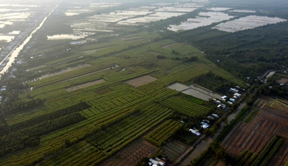 Từ trên cao, những vườn dừa, vườn chuối, ruộng mía… hiện ra như những tấm thảm khổng lồ với màu xanh bát ngát.