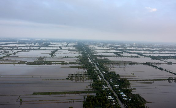 Dù đang là cuối mùa nước nổi nhưng nhiều cánh đồng vẫn còn ngập trong nước.