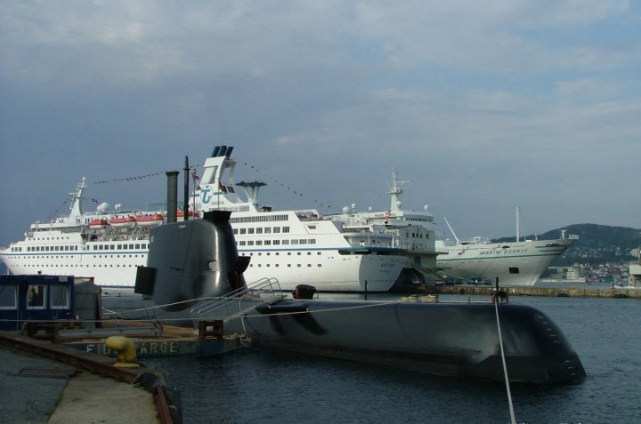 Vũ khí trên tàu gồm 8 ống phóng ngư lôi 533 mm, ống phóng này có thể phóng tên lửa chống hạm UGM-84 Harpoon. Ảnh: Military-Today.