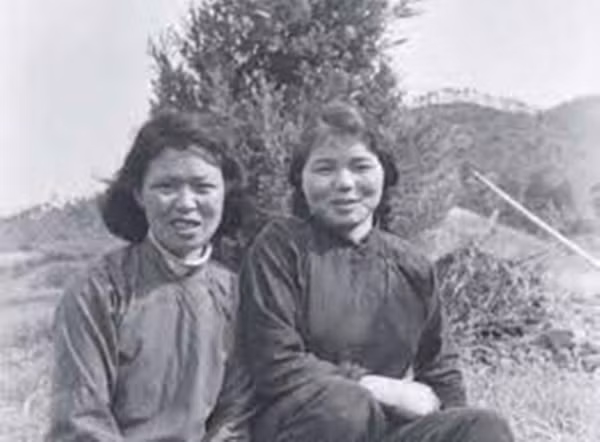 Trương Liên Hưng nghĩ rằng Đoạn Đức Hiển khó có thể nhận ra mình vì chỉ gặp Hà Khai Mỹ có 10 ngày rồi xa nhau 12 năm. Nhưng cô ta không ngờ rằng đã để lộ nhiều dấu hiệu, từ việc biết chữ đến thư từ cho người thân. Người bạn viết thư cũ của Hà Khai Mỹ, Trương Cúc Lan đã phát hiện và báo cảnh sát. Cuối cùng, Trương Liên Hưng đã phải thú nhận tội lỗi của mình.