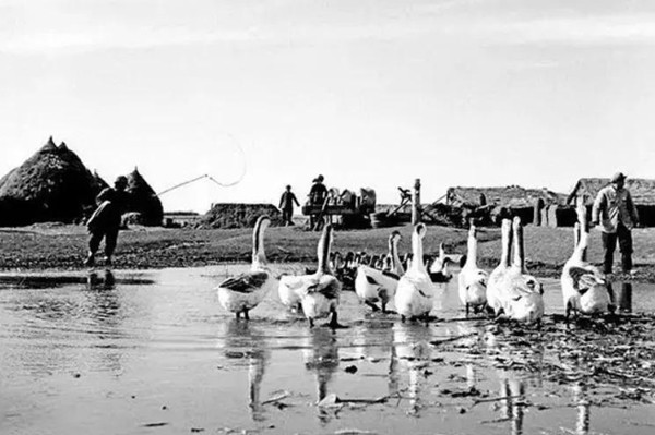 Đến Hắc Long Giang, Đoàn Đức Hiển cảm nhận được nỗi cô đơn, thiếu vắng người thân. Thời bấy giờ, mạng lưới liên lạc chưa phát triển, cách duy nhất để liên lạc với vợ là qua thư từ. Hà Khai Mỹ không biết chữ, mỗi lần nhận thư đều nhờ một người phụ nữ trong làng tên Trương Cúc Lan đọc hộ, khi trả lời thư, cô cũng nhờ Trương Cúc Lan viết giúp.