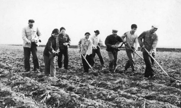 Lúc đó, Trương Liên Hưng gặp Hà Khai Mỹ trên đường từ quê ra ga tàu để đến Hắc Long Giang thăm chồng. Hai người trò chuyện, Hà Khai Mỹ không chút nghi ngờ kể hết chuyện chồng gửi thư gọi mình, còn nhắc rằng cảnh sát đang đến làng để bắt Trương Liên Hưng. Ngay sau đó, một ý tưởng xấu xa nảy ra trong đầu Trương Liên Hưng.