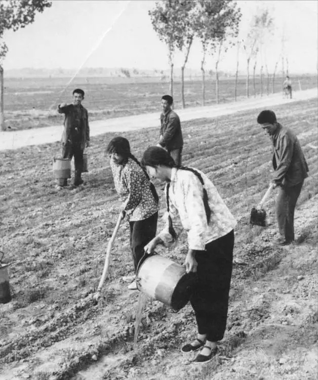 Anh còn xin lãnh đạo bố trí cho vợ một công việc, nhưng đến ngày thứ 52, hai cảnh sát từ Vân Nam đến tìm anh, khiến anh hoang mang. Cảnh sát cho anh xem bức ảnh của vợ thật và tiết lộ vợ thật của anh đã bị giết, người vợ bên cạnh anh là Trương Liên Hưng, hung thủ. Cảnh sát đưa Đoàn Đức Hiển về phòng, ngay lập tức bắt Trương Liên Hưng.