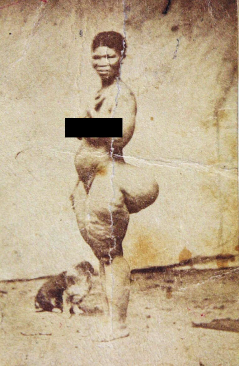 Trong bối cảnh Nam Phi bị thống trị bởi đế quốc Anh, nhận thức của phương Tây về châu Phi vẫn còn dừng lại ở những định kiến về màu da và sự "dã man". Cô gái Sarah Baartman, với thân hình đầy đặn, đường cong quyến rũ, đặc biệt là vòng ba được cho là "tiêu chuẩn của phụ nữ châu Phi", đã trở thành tâm điểm chú ý của xã hội phương Tây.