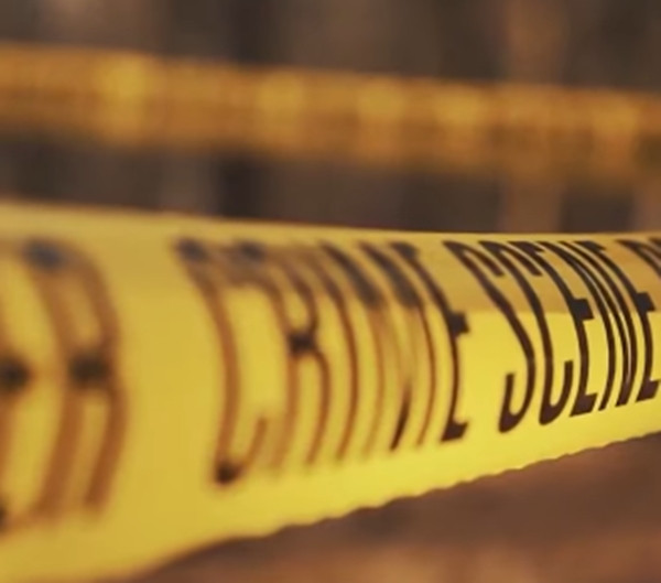 Đây là một hồi chuông cảnh tỉnh về bạo lực gia đình và tội phạm tình dục, đồng thời kêu gọi sự cần thiết của việc tăng cường giáo dục giới tính và bảo vệ quyền lợi của phụ nữ trong xã hội.