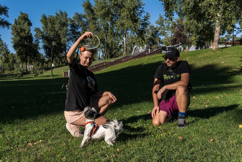 Nhiều chủ nhân chia sẻ rằng chó đã giúp họ hướng tâm trí vào những điều tích cực hơn. Những chú chó luôn yêu thương và đồng hành cùng con người, bất kể tình huống khó khăn.