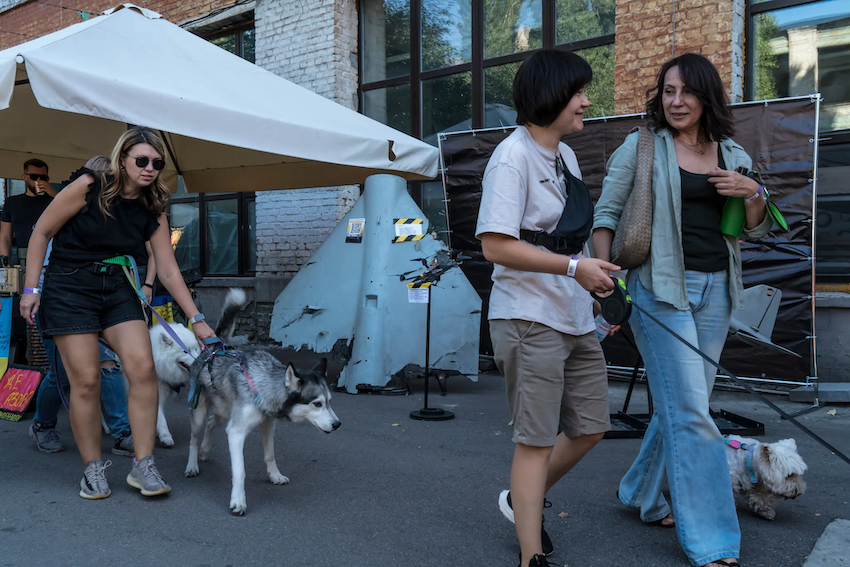 Vào tháng trước, tại Kiev, nơi thường xuyên bị Nga tấn công, một lễ hội dành cho chó đã diễn ra. Hàng ngàn chú chó vui đùa dưới nắng, tạo ra một không gian vui tươi giữa sự tàn phá của các cuộc giao tranh. Lễ hội được tổ chức tại một nhà máy thời Liên Xô, với các hoạt động như tắm mát, nhảy vào hố bóng, và phác họa chân dung chó. Các nghệ sĩ và người bán hàng đã tham gia cùng các chuyên gia chăm sóc thú cưng.