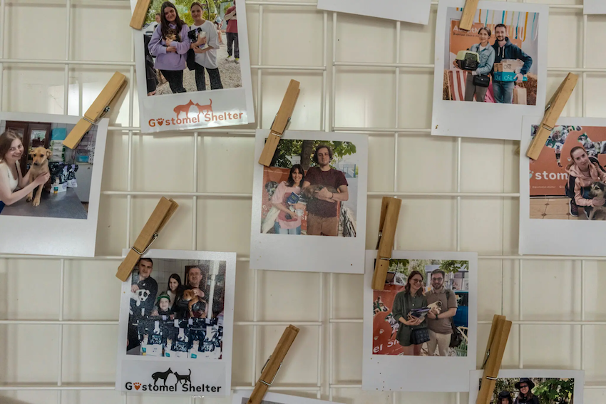 Lễ hội PesDay thu hút khoảng 13.000 chú chó cùng chủ nhân. Kể từ sau khi xung đột Nga - Ukraine nổ ra, việc nuôi chó tại Ukraine đã bùng nổ, mang lại sự an ủi cho nhiều người trong thời kỳ khó khăn.