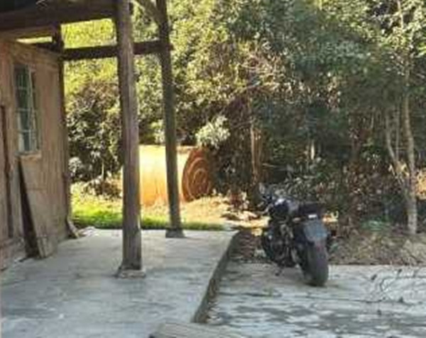 Hiện tại, Lưu đang bị tạm giam vì tội giết người và lừa đảo bảo hiểm. Vụ án vẫn đang được điều tra làm rõ.