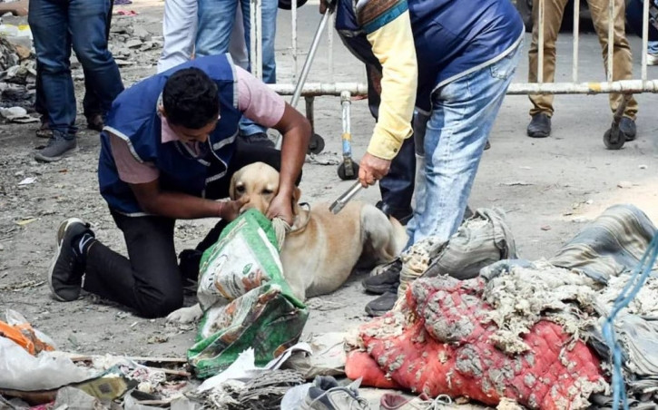 Một ngày sau, các mảnh thi thể được tìm thấy trong một hồ nước ở công viên gần đó.