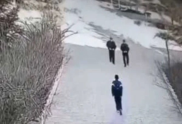 Theo thông cáo báo chí được Cục Công an Cố Nguyên công bố mới đây, vụ việc xảy ra vào chiều ngày 22/11. Hai cảnh sát thuộc đồn công an Trương Dịch Trấn, quận Nguyên Châu, đang làm nhiệm vụ thì bắt gặp một nam sinh tiểu học 12 tuổi họ Mã đi trên đường. Không rõ nguyên nhân, một trong hai cảnh sát, được xác định là Phó Trưởng công an họ Vương, đã lao vào túm lấy cậu và đánh đập tàn bạo.