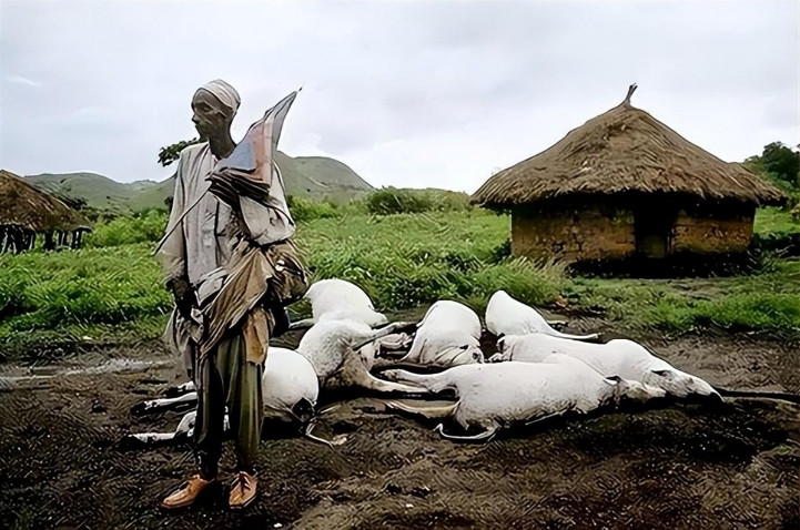Trước sự hoang mang của người dân, các nhà khoa học quốc tế đã đến và điều tra. Kết quả cho thấy, khí CO2 tích tụ ở đáy hồ đã bất ngờ thoát ra ngoài, tạo thành đám mây khí chết người lan tỏa khắp khu vực.