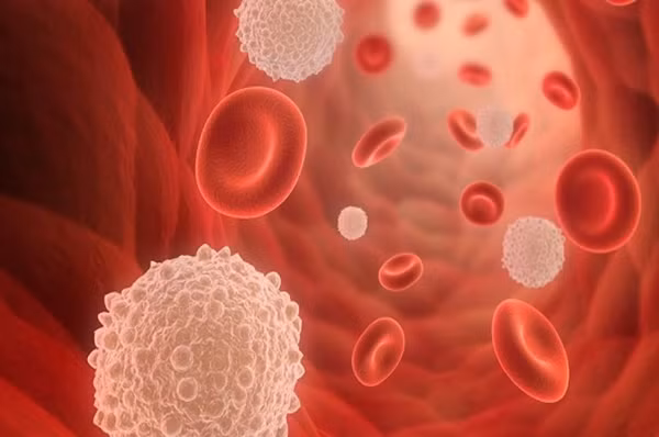 Chiêu bài góp vốn hỗ trợ từ thiện với lời hứa hẹn lợi nhuận cao, chẳng hạn như chương trình "5 vạn ghép 1 vạn" – đầu tư 50.000 NDT, sau 2 tháng nhận lại 60.000 NDT – đã đánh trúng tâm lý người bệnh đang cần tiền gấp để chữa trị.