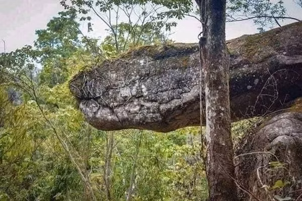 Cách thủ đô Bangkok khoảng 700 km về phía đông bắc, ẩn sâu trong những cánh rừng xanh thẳm của tỉnh Bueng Kan là một địa điểm huyền bí khiến không ít người mê mẩn và kinh ngạc, hang Rắn Naka. Đây không chỉ là một hang động tự nhiên, mà còn là nơi gắn liền với những câu chuyện ly kỳ về thần thoại rắn Naga, loài rắn thần khổng lồ trong tín ngưỡng của người dân Thái Lan. (Nguồn: Sohu)