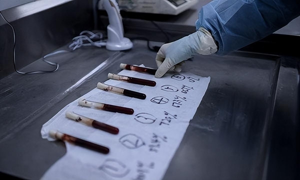 Sau khi giết Tiểu Hoa, Trần Kiến Quốc nhẫn tâm ném thi thể của thiếu nữ xuống một giếng bỏ hoang ở làng kế bên và đè lên thi thể bằng những hòn đá nặng để che giấu tội ác. Hắn nghĩ rằng tội lỗi này sẽ mãi mãi bị chôn vùi dưới giếng sâu nhưng sự thật cuối cùng vẫn được đưa ra ánh sáng.