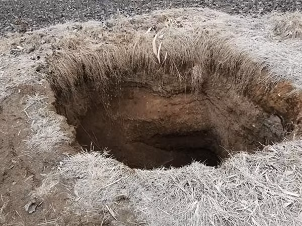 Sự việc đau lòng đã xảy ra tại làng Hải Tử Lương, huyện Định Biên, tỉnh Thiểm Tây, Trung Quốc. Một thi thể được phát hiện dưới đáy giếng bỏ hoang. Người phát hiện là ông Trịnh, một nông dân trong làng, khi ông đến giếng để bơm nước tưới rau thì phát hiện giếng bị tắc nghẽn. Sau khi kiểm tra, ông kinh hoàng phát hiện thi thể của một thiếu nữ dưới lớp bùn đất. (Nguồn: Sohu, minh họa)