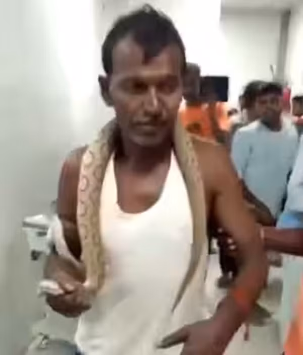 Khi ông Prakash Mandal xuất hiện, các nhân viên y tế và bệnh nhân không ai dám lại gần, tất cả đều giữ khoảng cách an toàn. Một nhân viên bệnh viện đã phải khéo léo hướng dẫn người đàn ông đến khu vực cách ly an toàn để xử lý tình huống đầy kịch tính này.