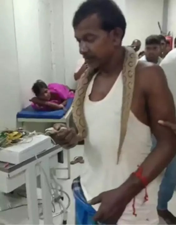 Mặc một chiếc áo ba lỗ và vải quấn dhoti giản dị, ông Prakash Mandal không hề hoảng sợ, cầm chặt con rắn độc trong tay, tiến vào khu cấp cứu của Bệnh viện JLN giữa ánh mắt kinh ngạc của các bệnh nhân và nhân viên.