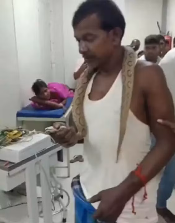 Mặc một chiếc áo ba lỗ và vải quấn dhoti giản dị, ông Prakash Mandal không hề hoảng sợ, cầm chặt con rắn độc trong tay, tiến vào khu cấp cứu của Bệnh viện JLN giữa ánh mắt kinh ngạc của các bệnh nhân và nhân viên.