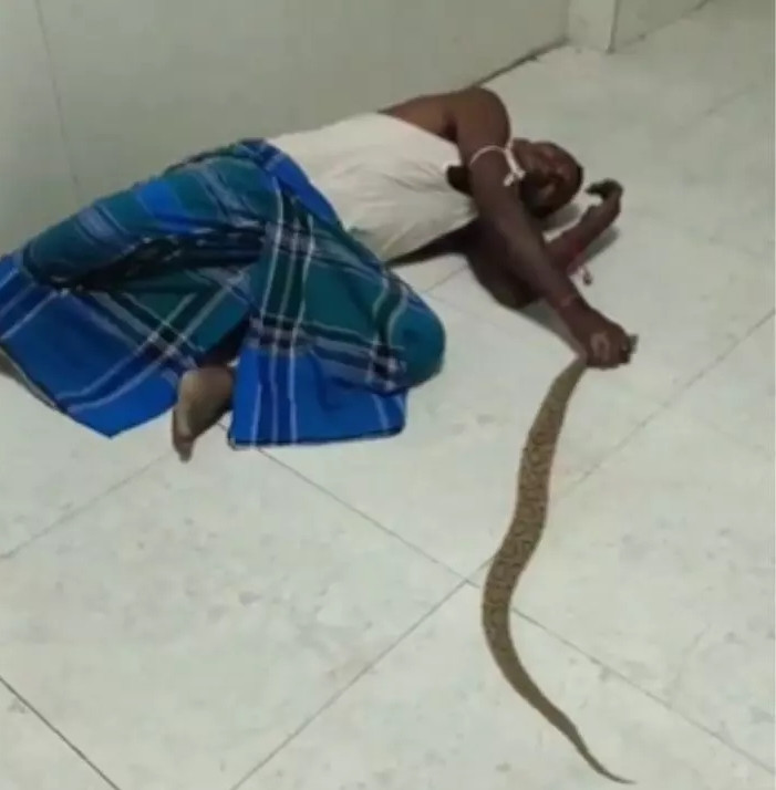 Để hạn chế chất độc lan rộng, Prakash Mandal thậm chí còn biết buộc một miếng vải quanh cánh tay nhằm ngăn chặn máu lưu thông.