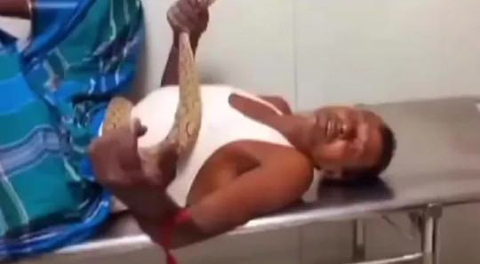 Đáng chú ý là rắn hổ lục Russell có tính khí hung hăng, không e sợ con người và thường cắn ngay khi cảm thấy bị đe dọa. Sự hung dữ này khiến chúng trở thành nỗi ám ảnh đối với nhiều người dân ơ vùng nông thôn Ấn Độ. Loài rắn này cũng là nguyên nhân chính gây ra phần lớn các ca tử vong do rắn cắn ở khu vực Nam Á, nơi chúng xuất hiện phổ biến.