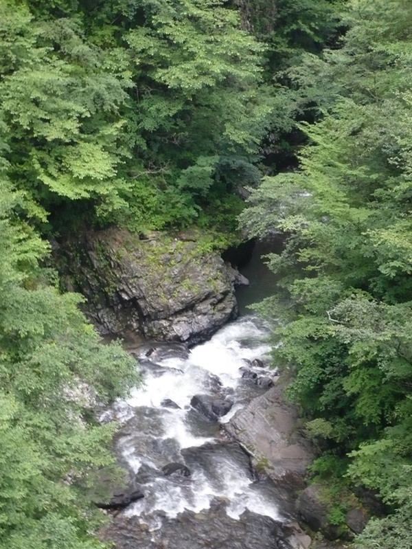 Nhiều người tin rằng, bất kỳ ai dám đến gần vực vào ngày này đều sẽ bị mắc kẹt trong vòng lặp kinh dị, chứng kiến những sự kiện rùng rợn của đêm ấy mà không thể thoát ra cho đến khi bình minh ló dạng.