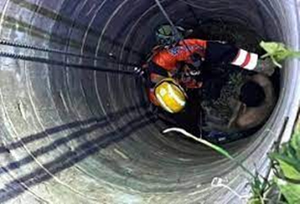 Sau khi bị ngã, nam du khách đã liên tục kêu cứu, hy vọng có người nghe thấy và giúp đỡ. Tuy nhiên, tiếng kêu cứu của anh lại bằng tiếng Trung, một ngôn ngữ không quen thuộc với người dân địa phương nên bị người dân hiểu nhầm là tiếng động kỳ lạ, có người còn đồn thổi đó là tiếng "ma".