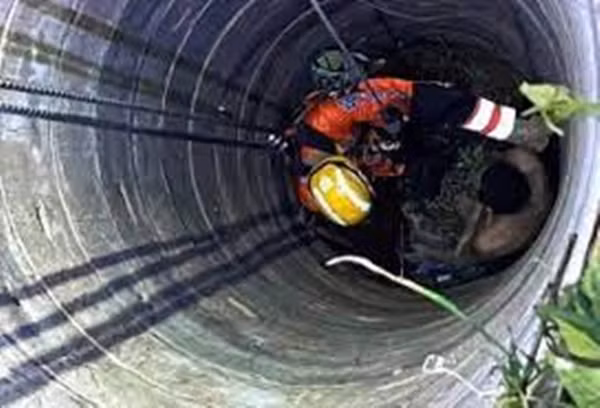 Sau khi bị ngã, nam du khách đã liên tục kêu cứu, hy vọng có người nghe thấy và giúp đỡ. Tuy nhiên, tiếng kêu cứu của anh lại bằng tiếng Trung, một ngôn ngữ không quen thuộc với người dân địa phương nên bị người dân hiểu nhầm là tiếng động kỳ lạ, có người còn đồn thổi đó là tiếng "ma".