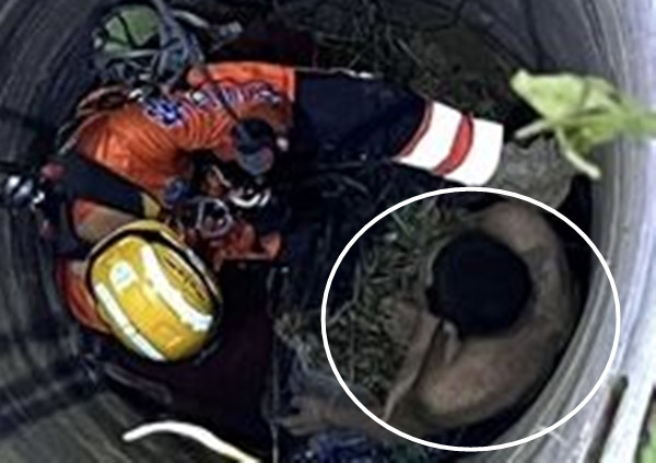 Trong suốt 72 giờ đồng hồ, người đàn ông trẻ tuổi đã phải vật lộn một mình trong bóng tối với những vết thương do ngã từ trên cao xuống, đói khát và tuyệt vọng. Chỉ đến khi một đội tuần tra của Thái Lan đi qua khu vực này, tình cờ nghe thấy tiếng kêu cứu yếu ớt phát ra từ trong rừng, hy vọng mới lóe lên.