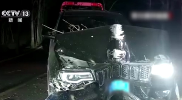 Sự việc này không chỉ là một bài học đắt giá về lòng tham và sự liều lĩnh mà còn là lời cảnh tỉnh về những lỗ hổng trong hệ thống quản lý bảo hiểm. Việc giám sát chặt chẽ hơn, cùng với việc nâng cao nhận thức về tội phạm lừa đảo bảo hiểm là điều cần thiết để ngăn chặn những vụ việc tương tự xảy ra trong tương lai.