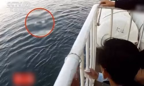 Tuy nhiên, sự tinh vi của Lý không thể qua mắt được các điều tra viên dày dạn kinh nghiệm. Việc tìm thấy điểm mù camera tại chính vị trí xảy ra vụ án cùng với việc gia đình Tiểu Hoàn không hề hay biết về cuộc hôn nhân đã đặt ra những nghi vấn nghiêm trọng. Báo cáo khám nghiệm tử thi cho thấy Tiểu Hoàn có dấu hiệu bị đánh đập và bịt miệng trước khi chết, chứng minh cô không tự tử mà bị sát hại.